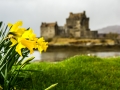 Springtime At Eilean Donan