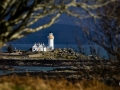 Eilean Sionnach Framed