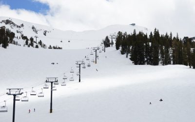 Von der Wüste in den Schnee